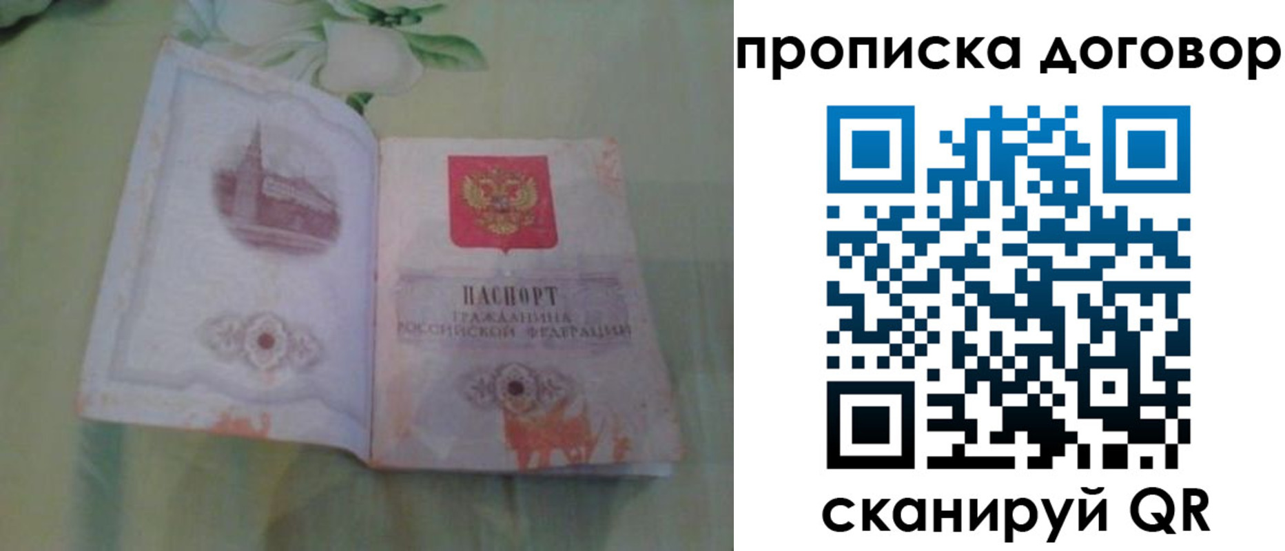 временная регистрация гарантия в Апатитах